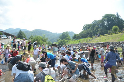 DSC_2906.JPG