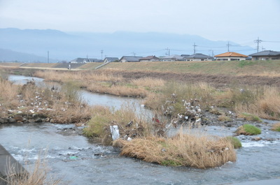 DSC_8618.JPG