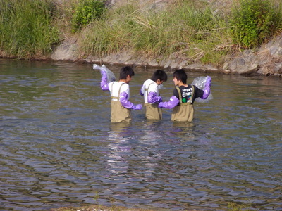 IMGP0053.JPG