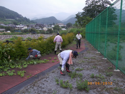 IMGP0155.JPG