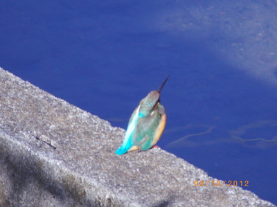 IMGP0465.JPG