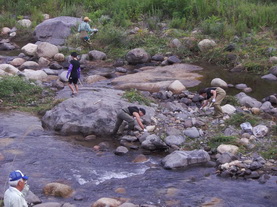 IMGP5151.JPG