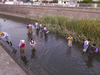 IMGP5250.JPG