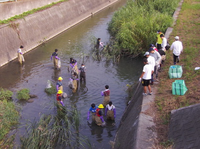 IMGP5260.JPG
