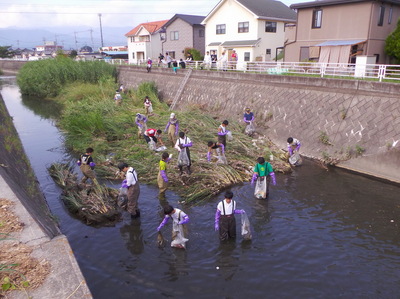 IMGP5269.JPG