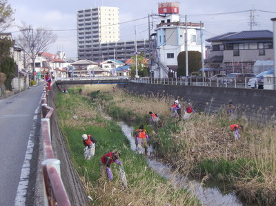 IMGP5549.JPG