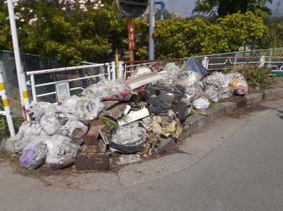 IMGP6019.JPG