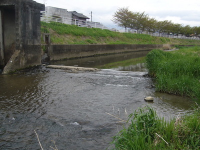 P1040632.JPG