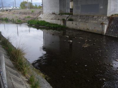 P1040634.JPG